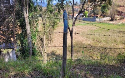 LOTE - SANT'ANA DO CAPIVARI