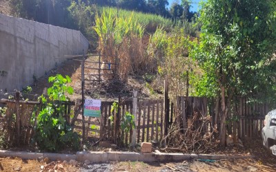 LOTE - HORTO FLORESTAL