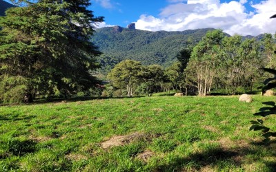 TERRENO - ENGENHO DE SERRA